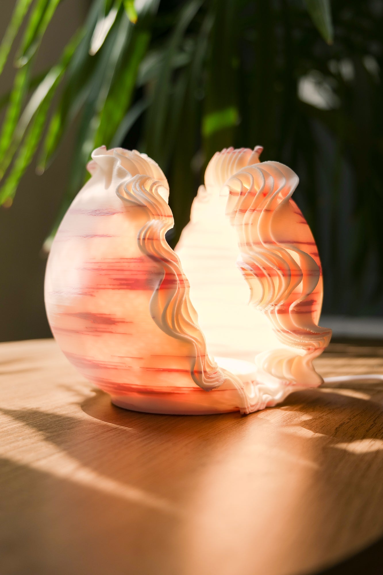 Marble-patterned seashell-shaped lamp on a wooden surface with a plant in the background