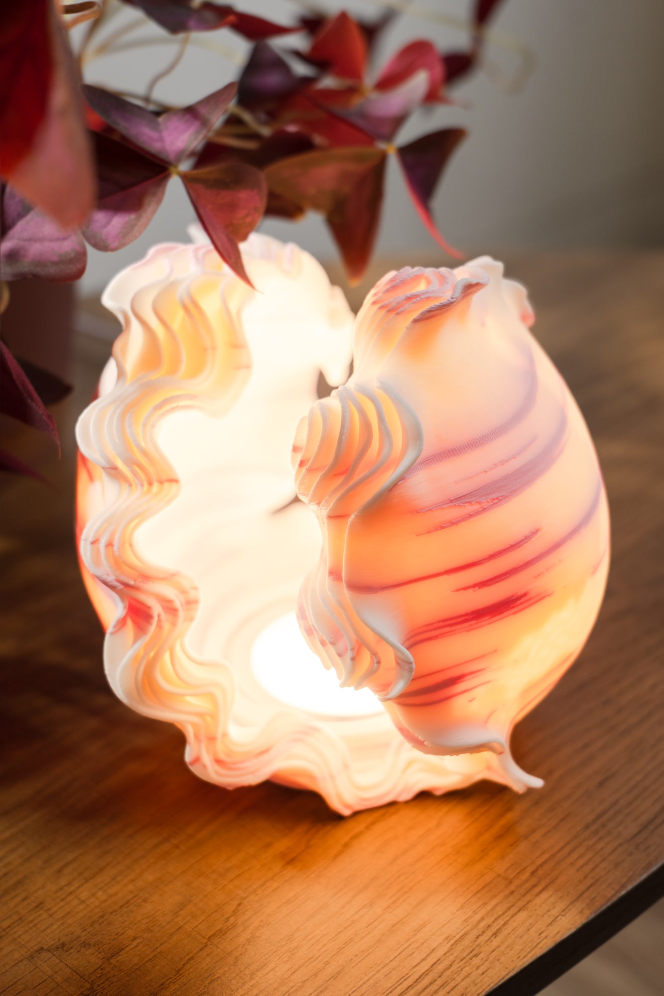 Shell-shaped lamp emitting a warm glow on a wooden surface